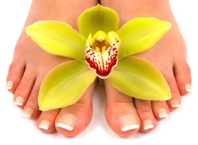 Spa Pedicures
